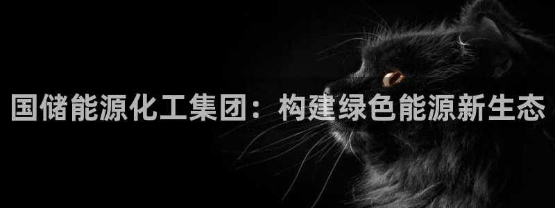 球盟会官方客服：国储能源化工集团：构建绿色能源新生态