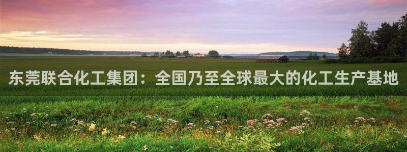 球盟会app最新地址下载：东莞联合化工集