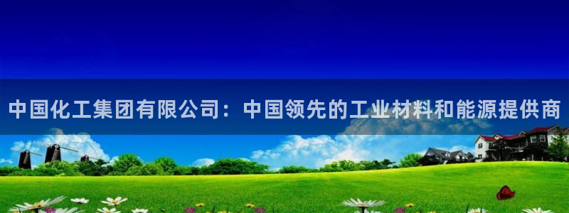 球盟会app网址多少号：中国化工集团有限