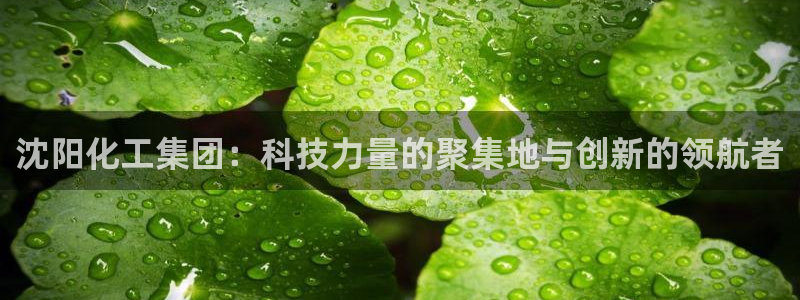 球盟会网页登录入口