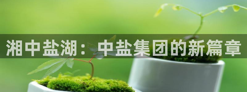 球盟会里面有打牌的嘛是真的吗