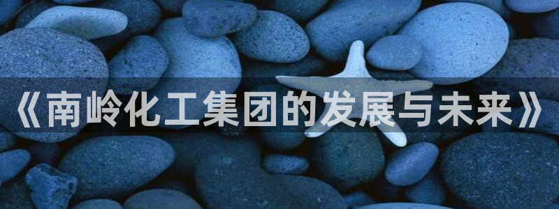 球盟会最新活动：《南岭化工集团的发展与未