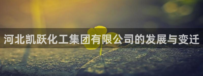 球盟会能退钱吗：河北凯跃化工集团有限公司