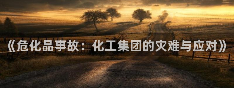 球盟会入口：《危化品事故：化工集团的灾难