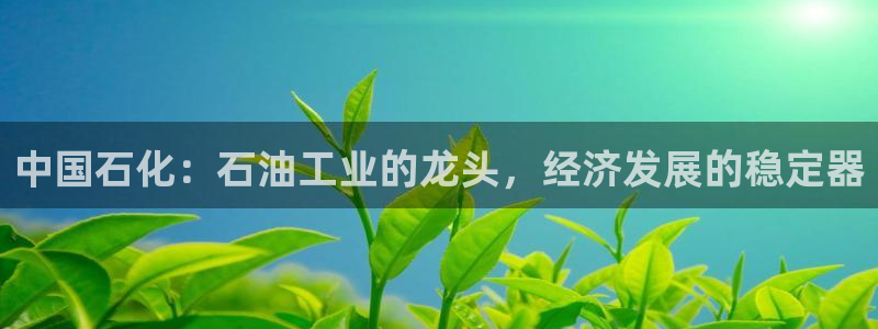 球盟会黑台子吗：中国石化：石油工业的龙头