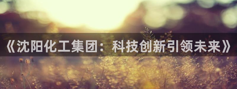 球盟会app网址多少：《沈阳化工集团：科