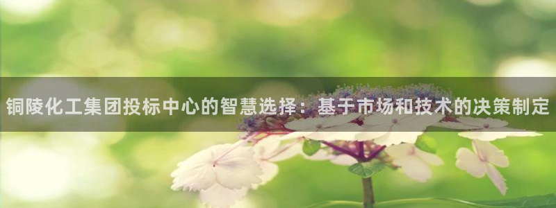 球盟会：铜陵化工集团投标中心的智慧选择：