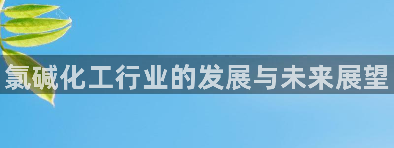 球盟会有没有黑单的球员：氯碱化工行业的发