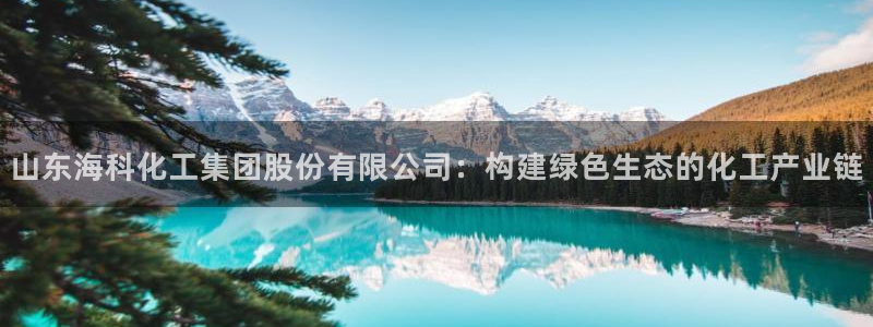 球盟会在线登入：山东海科化工集团股份有限