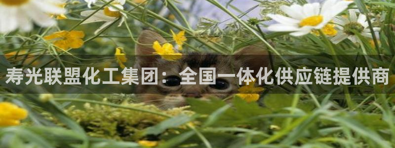 球盟会官方网址入口：寿光联盟化工集团：全