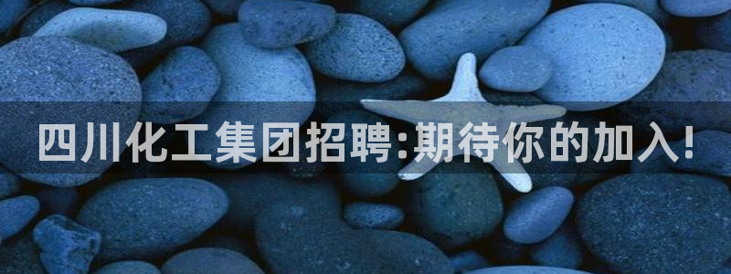 球盟会电子：四川化工集团招聘:期待你的加