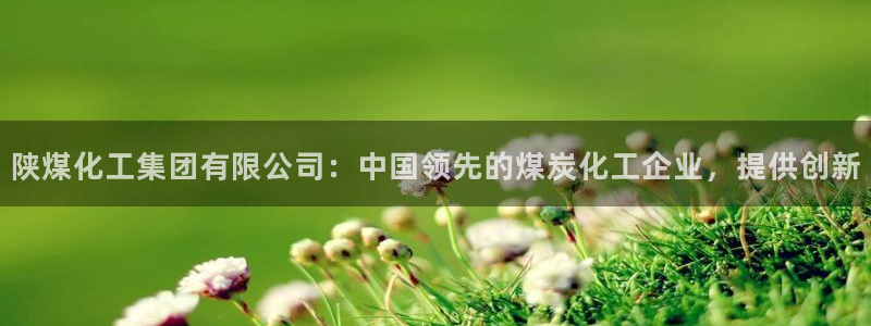 球盟会黑台子吗：陕煤化工集团有限公司：中