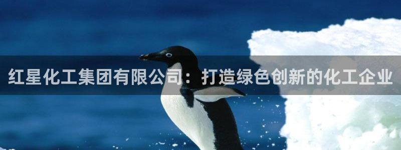 球盟会官方下载：红星化工集团有限公司：打