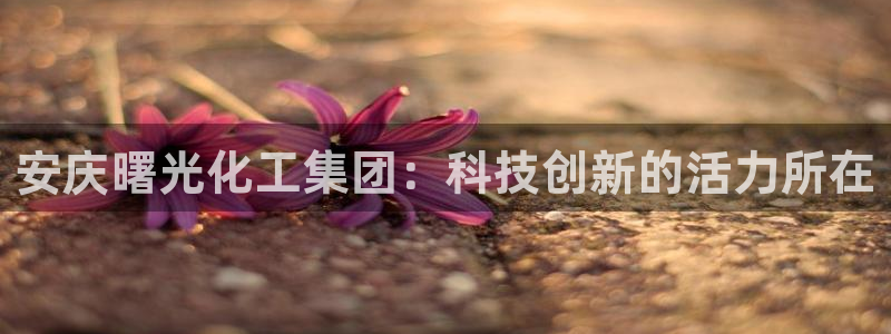 球盟会手机网页版：安庆曙光化工集团：科技