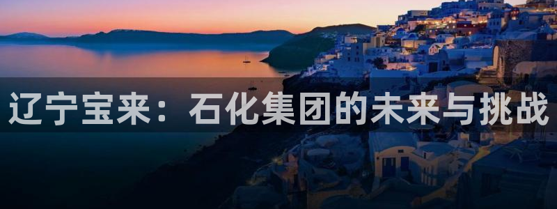 球盟会官网入口：辽宁宝来：石化集团的未来与挑战