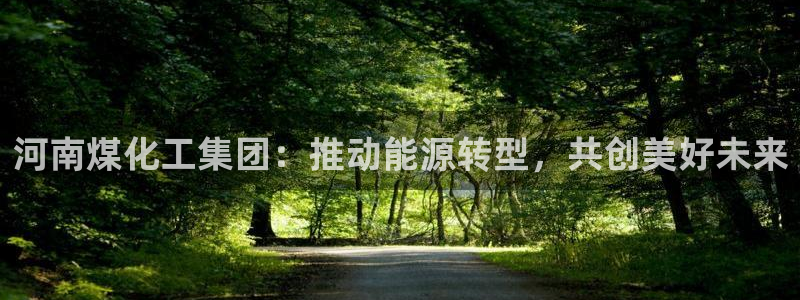 球盟会官方客服：河南煤化工集团：推动能源