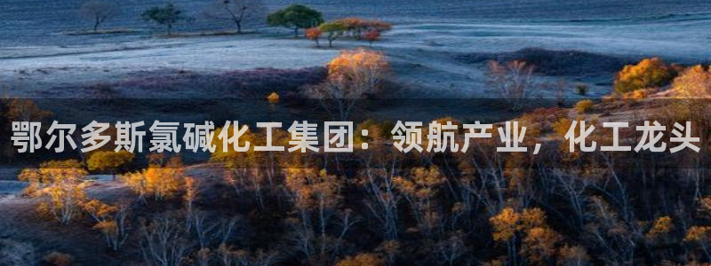 球盟会里面有打牌的嘛知乎