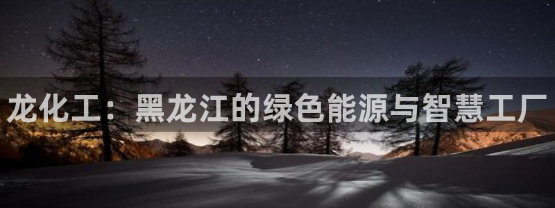 球盟会官方客服：龙化工：黑龙江的绿色能源