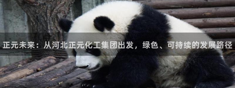 球盟会黑款吗知乎小说：正元未来：从河北正