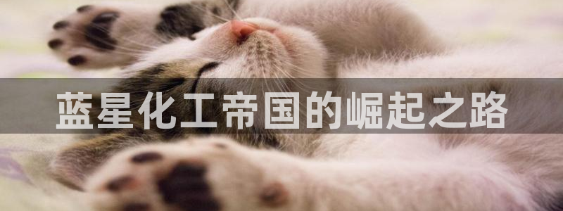 球盟会综合体育平台