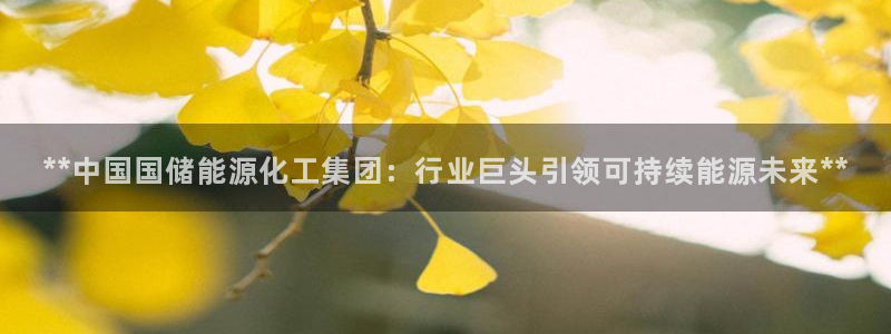 球盟会中国网页登录：**中国国储能源化工