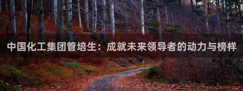 球盟会APP下载：中国化工集团管培生：成就未来领导者的动力与