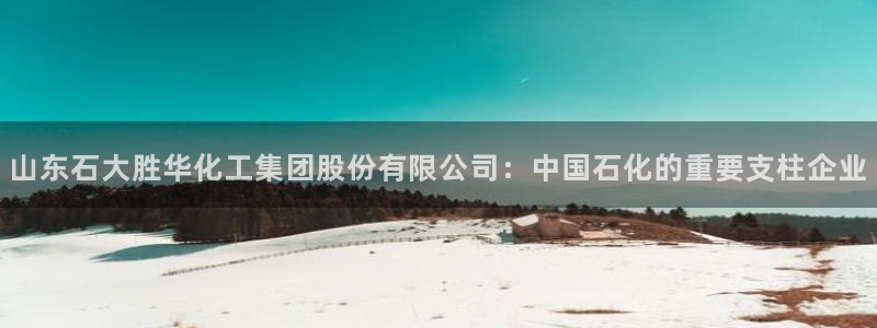 球盟会进不去吗：山东石大胜华化工集团股份有限公司：中国石化的
