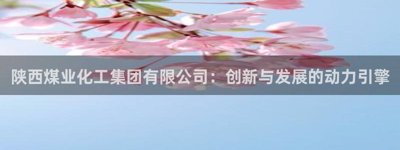 球盟会官方网站入口：陕西煤业化工集团有限公司：创新与发展的动
