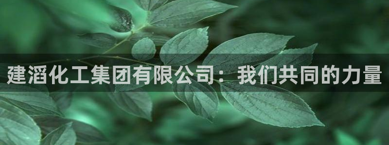 球盟会用的客服聊天是哪个软件：建滔化工集团有限公司：我们共同