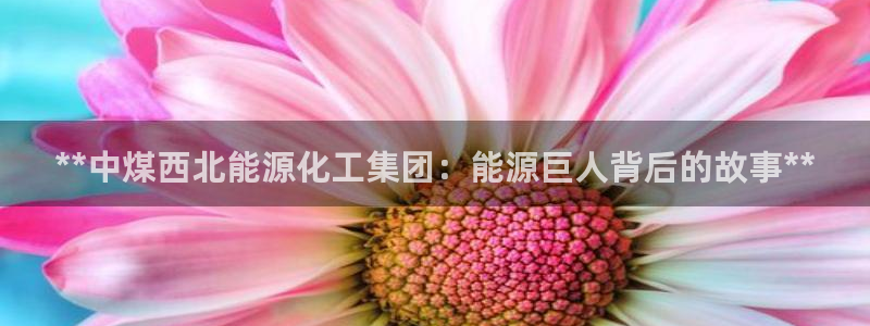 球盟会有没有黑单的人