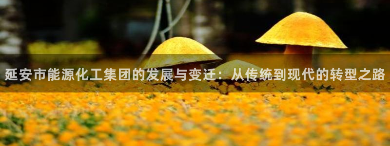 球盟会app安装：延安市能源化工集团的发