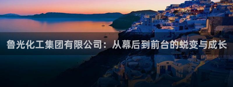 球盟会进不去球员吗：鲁光化工集团有限公司：从幕后到前台的蜕变